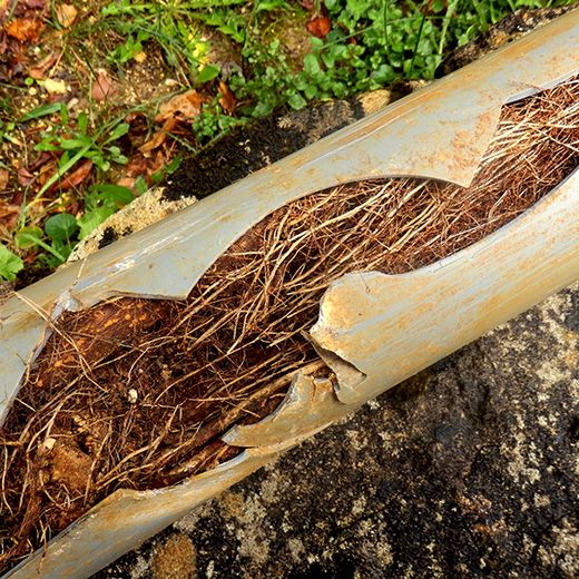 Same Day Drain Sewer & Rooter Pros Across Loudon